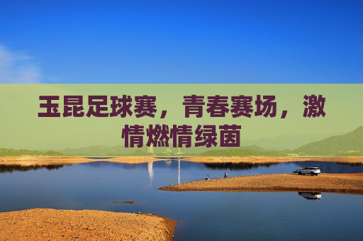玉昆足球赛,青春赛场,激情燃情绿茵