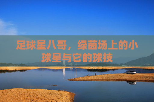 足球星八哥,绿茵场上的小球星与它的球技