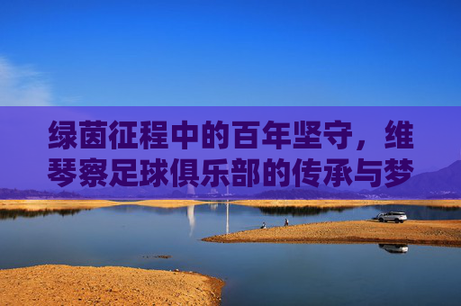 绿茵征程中的百年坚守，维琴察足球俱乐部的传承与梦想