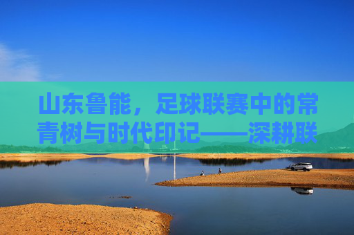 山东鲁能,足球联赛中的常青树与时代印记——深耕联赛三十余载的辉煌与传承