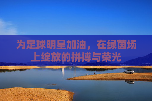 为足球明星加油，在绿茵场上绽放的拼搏与荣光