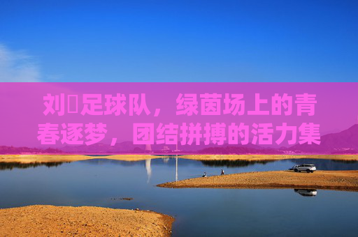 刘劼足球队,绿茵场上的青春逐梦,团结拼搏的活力集结