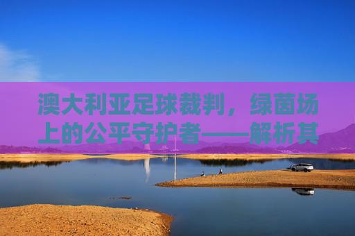 澳大利亚足球裁判,绿茵场上的公平守护者——解析其职业体系与执法实践