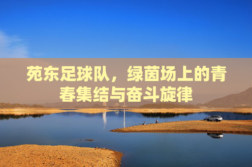 苑东足球队，绿茵场上的青春集结与奋斗旋律