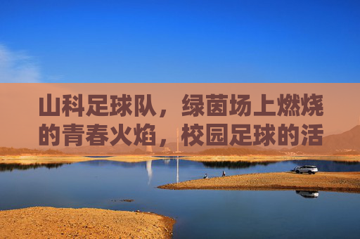 山科足球队,绿茵场上燃烧的青春火焰,校园足球的活力名片