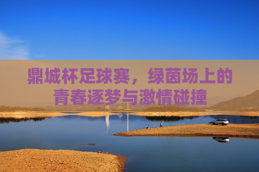 鼎城杯足球赛，绿茵场上的青春逐梦与激情碰撞
