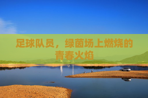 足球队员，绿茵场上燃烧的青春火焰