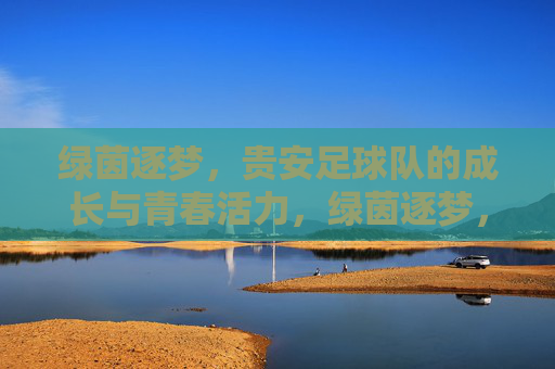 绿茵逐梦,贵安足球队的成长与青春活力,绿茵逐梦,贵安足球队的成长与青春活力