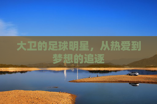 大卫的足球明星，从热爱到梦想的追逐
