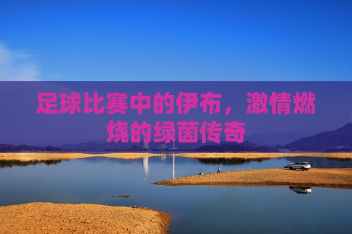 足球比赛中的伊布，激情燃烧的绿茵传奇