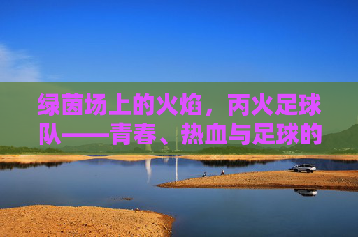 绿茵场上的火焰，丙火足球队——青春、热血与足球的交响