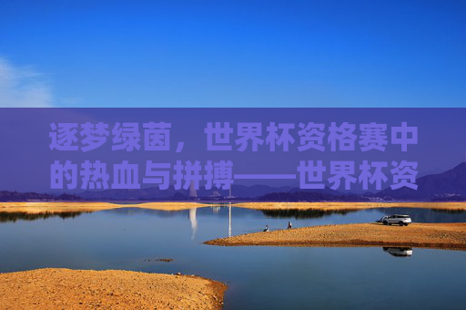 逐梦绿茵,世界杯资格赛中的热血与拼搏——世界杯资格足球的精彩叙事