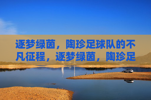 逐梦绿茵，陶珍足球队的不凡征程，逐梦绿茵，陶珍足球队的不凡征程