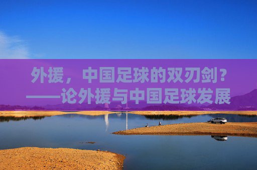 外援，中国足球的双刃剑？——论外援与中国足球发展的辩证关系