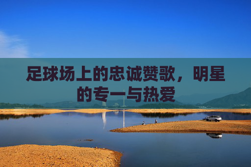 足球场上的忠诚赞歌,明星的专一与热爱