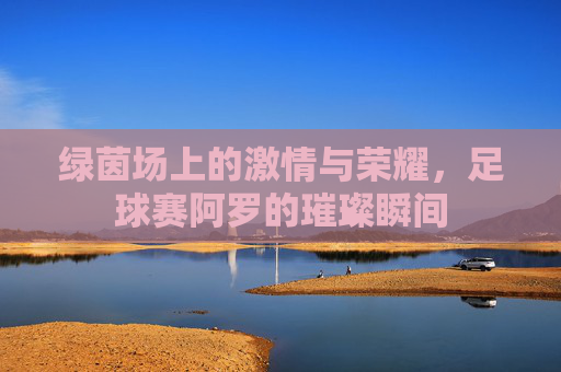 绿茵场上的激情与荣耀，足球赛阿罗的璀璨瞬间
