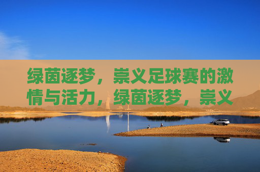 绿茵逐梦,崇义足球赛的激情与活力,绿茵逐梦,崇义足球赛的激情与活力