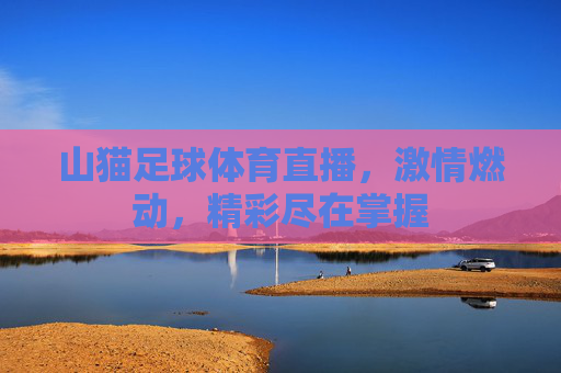 山猫足球体育直播，激情燃动，精彩尽在掌握