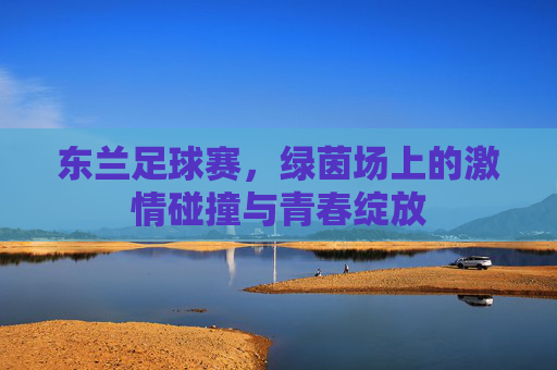 东兰足球赛,绿茵场上的激情碰撞与青春绽放