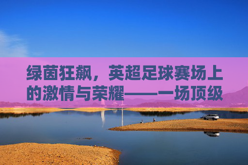 绿茵狂飙，英超足球赛场上的激情与荣耀——一场顶级联赛的视觉与精神盛宴