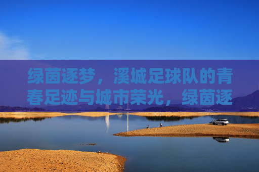 绿茵逐梦,溪城足球队的青春足迹与城市荣光,绿茵逐梦,溪城足球队的青春足迹与城市荣光