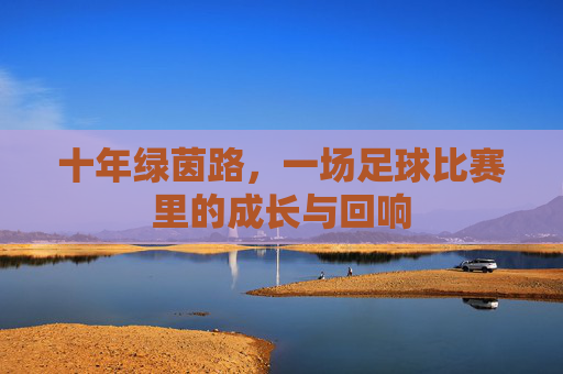 十年绿茵路,一场足球比赛里的成长与回响