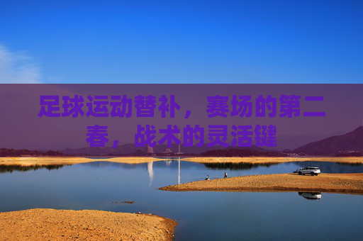 足球运动替补，赛场的第二春，战术的灵活键