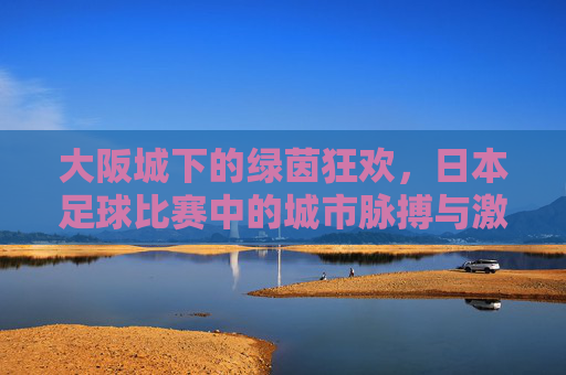 大阪城下的绿茵狂欢,日本足球比赛中的城市脉搏与激情碰撞