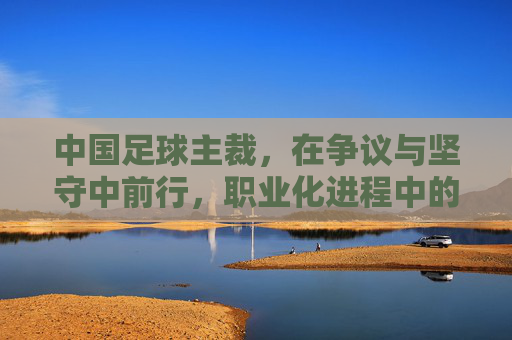 中国足球主裁,在争议与坚守中前行,职业化进程中的角色与挑战