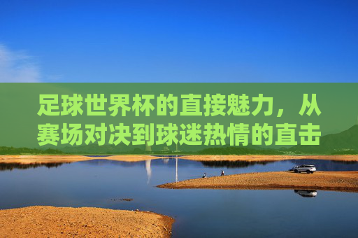 足球世界杯的直接魅力,从赛场对决到球迷热情的直击