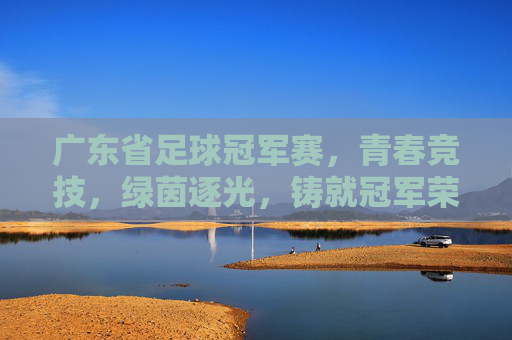广东省足球冠军赛，青春竞技，绿茵逐光，铸就冠军荣光