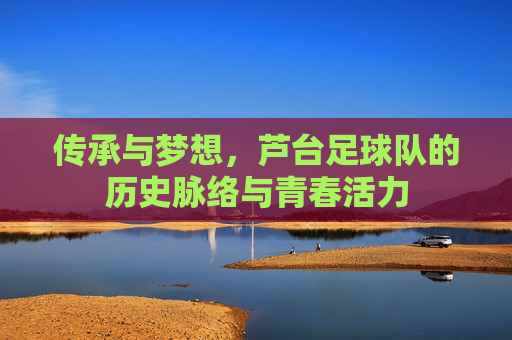 传承与梦想,芦台足球队的历史脉络与青春活力