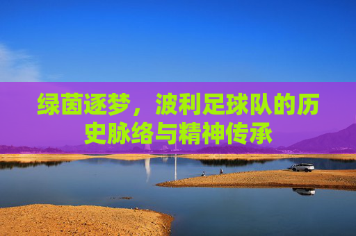 绿茵逐梦,波利足球队的历史脉络与精神传承