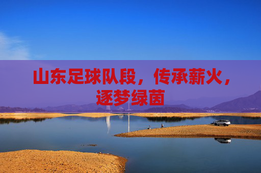 山东足球队段,传承薪火,逐梦绿茵