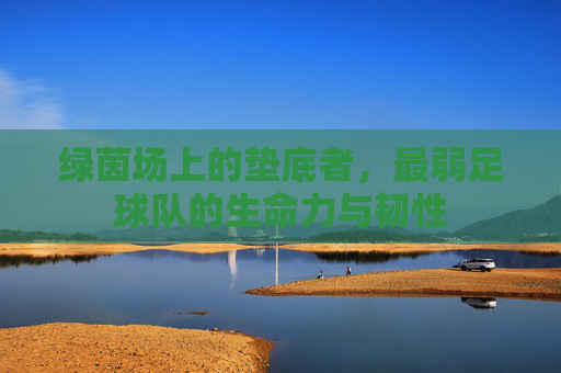绿茵场上的垫底者,最弱足球队的生命力与韧性