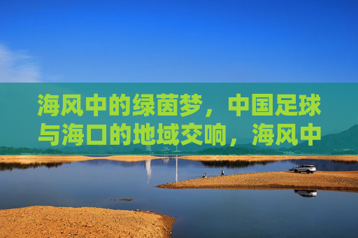 海风中的绿茵梦,中国足球与海口的地域交响,海风中的绿茵梦,中国足球与海口的地域交响