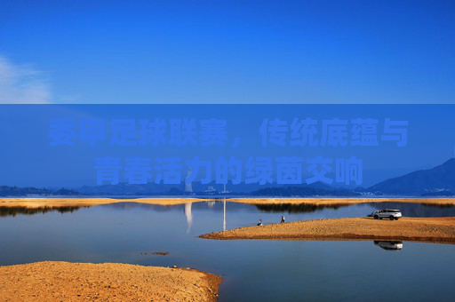 委甲足球联赛，传统底蕴与青春活力的绿茵交响