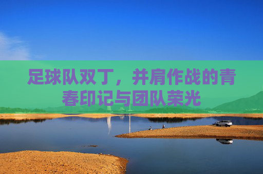 足球队双丁,并肩作战的青春印记与团队荣光