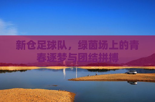 新仓足球队，绿茵场上的青春逐梦与团结拼搏