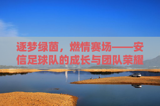 逐梦绿茵，燃情赛场——安信足球队的成长与团队荣耀