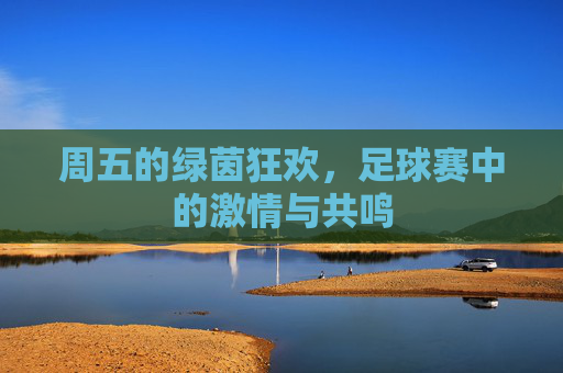 周五的绿茵狂欢，足球赛中的激情与共鸣