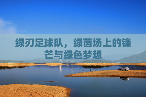 绿刃足球队,绿茵场上的锋芒与绿色梦想