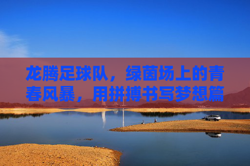 龙腾足球队,绿茵场上的青春风暴,用拼搏书写梦想篇章,龙腾足球队,绿茵场上的青春风暴,用拼搏书写梦想篇章
