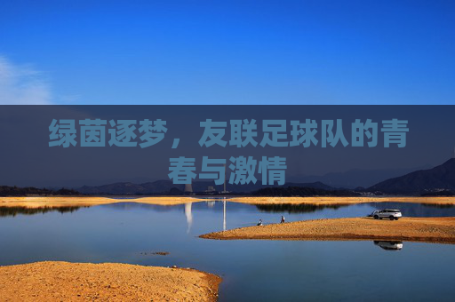 绿茵逐梦，友联足球队的青春与激情