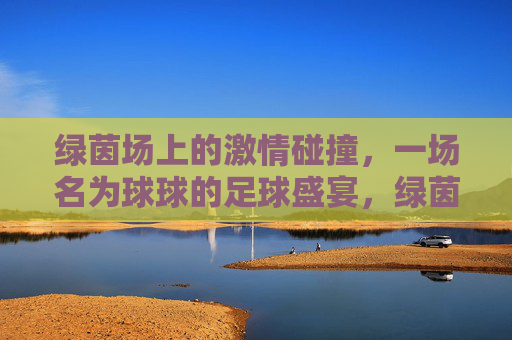 绿茵场上的激情碰撞,一场名为球球的足球盛宴,绿茵场激情碰撞,一场名为球球的足球盛宴