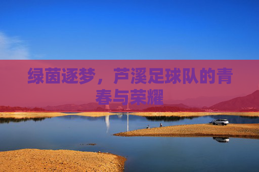 绿茵逐梦,芦溪足球队的青春与荣耀