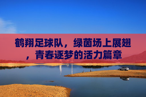 鹤翔足球队，绿茵场上展翅，青春逐梦的活力篇章