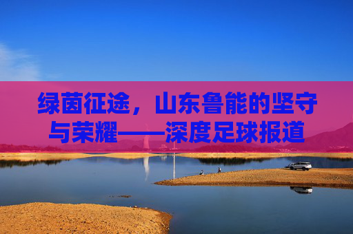 绿茵征途，山东鲁能的坚守与荣耀——深度足球报道
