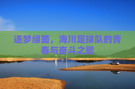 逐梦绿茵,海川足球队的青春与奋斗之歌
