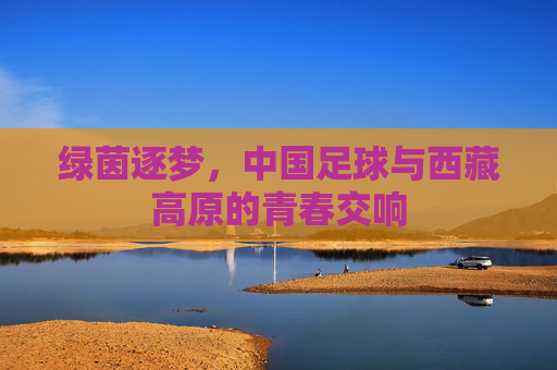 绿茵逐梦,中国足球与西藏高原的青春交响